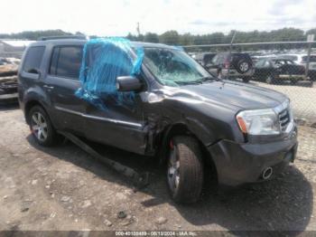  Salvage Honda Pilot