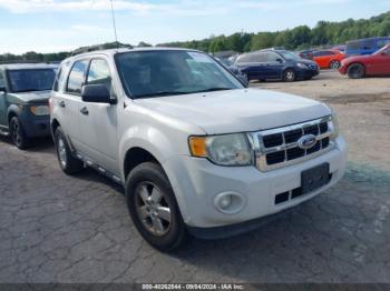  Salvage Ford Escape