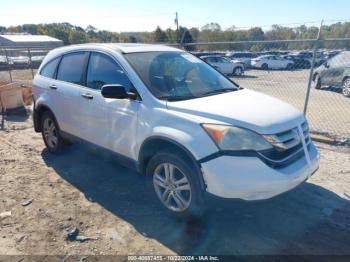  Salvage Honda CR-V