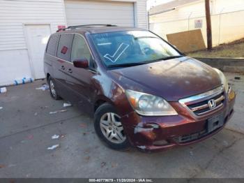  Salvage Honda Odyssey