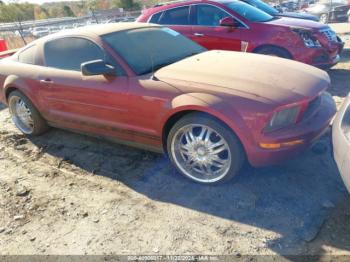  Salvage Ford Mustang