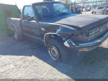  Salvage Chevrolet S Truck