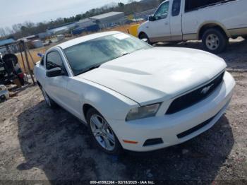  Salvage Ford Mustang