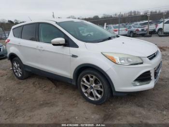  Salvage Ford Escape