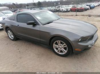  Salvage Ford Mustang