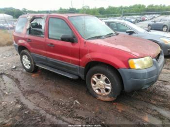  Salvage Ford Escape