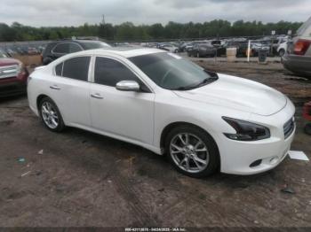  Salvage Nissan Maxima