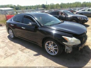  Salvage Nissan Maxima