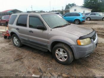  Salvage Ford Escape