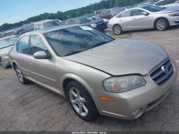  Salvage Nissan Maxima