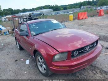  Salvage Ford Mustang