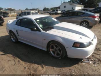  Salvage Ford Mustang