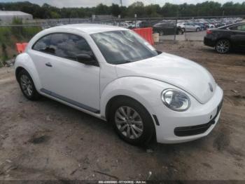  Salvage Volkswagen Beetle
