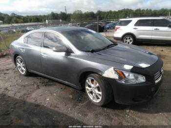  Salvage Nissan Maxima