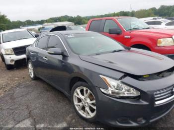  Salvage Nissan Maxima