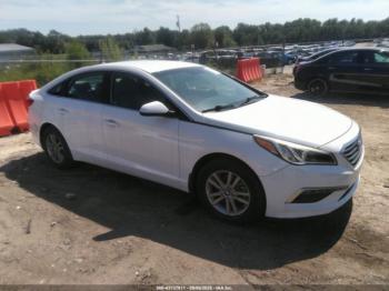  Salvage Hyundai SONATA