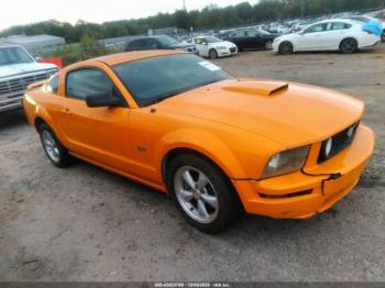  Salvage Ford Mustang