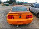 Ford Mustang Image 11