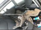 Honda Civic Lx Image 12