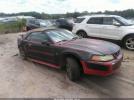 Ford Mustang Image 1
