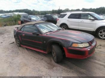  Salvage Ford Mustang