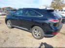 Lexus RX Image 4