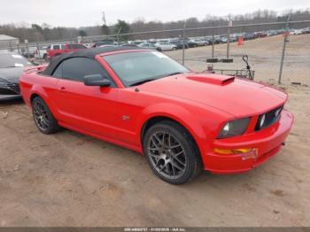  Salvage Ford Mustang