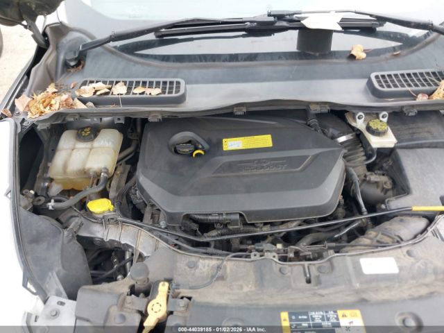 Ford Escape Sel Image 9