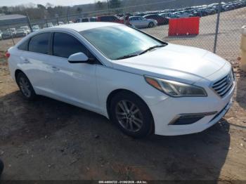  Salvage Hyundai SONATA